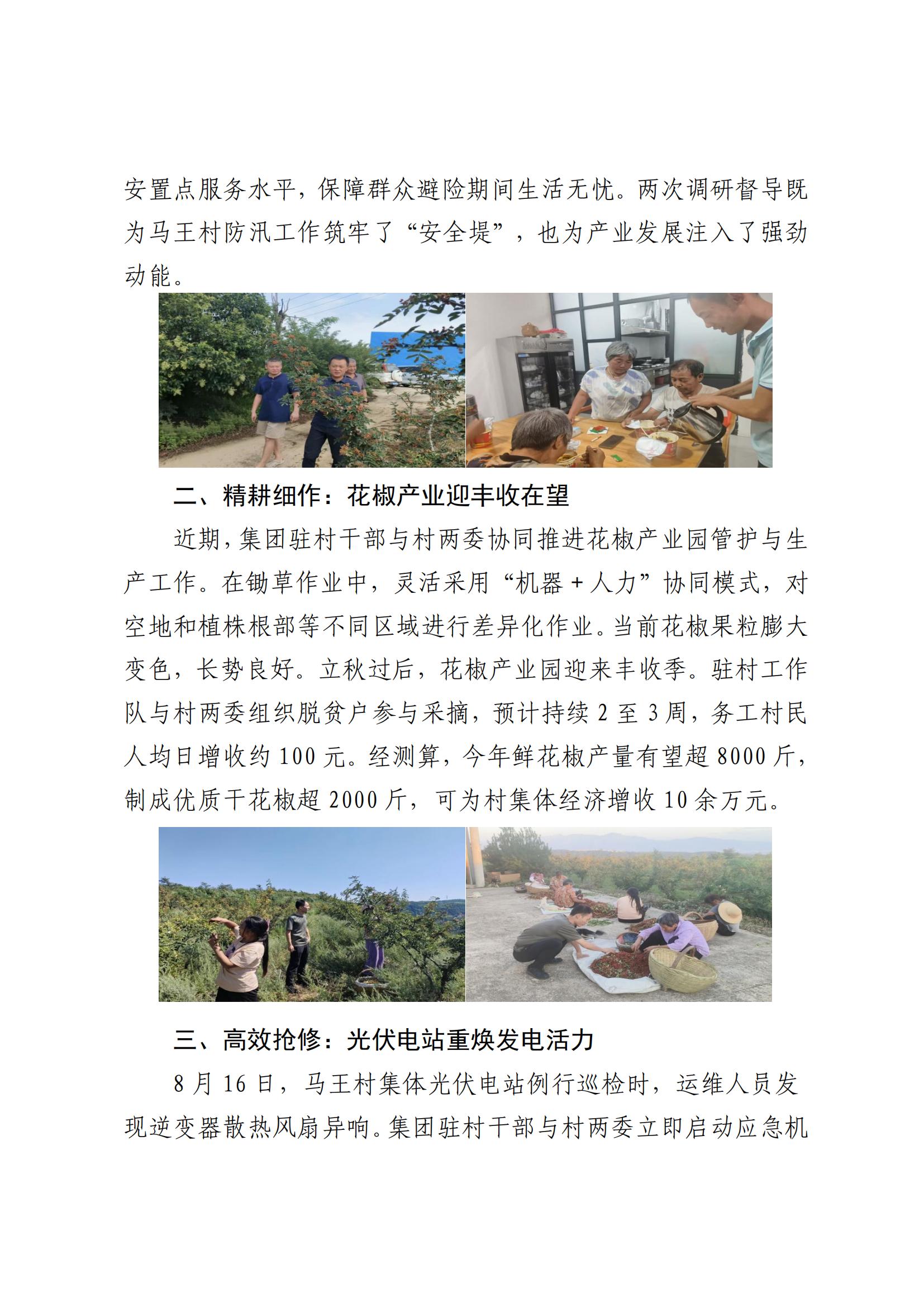 太阳成集团tyc151cc集团村落振兴工作动态（2025.8）_02.jpg