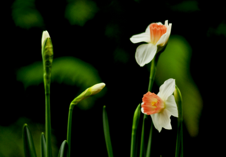 各人都做生态文化建设的实际者、推动者（生态论苑）