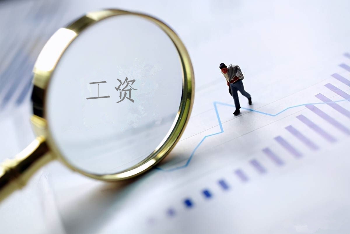 2022年度太阳成集团tyc151cc工资总额信息披露