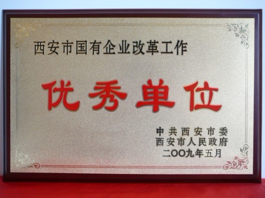 2009年5月，被西安市委、市当驹炖为西安市国企业鼎新工作优良单元