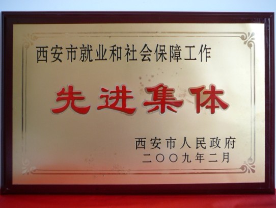 2009年2月，被西安市当驹炖为西安市就业和社会保险工作先进集体